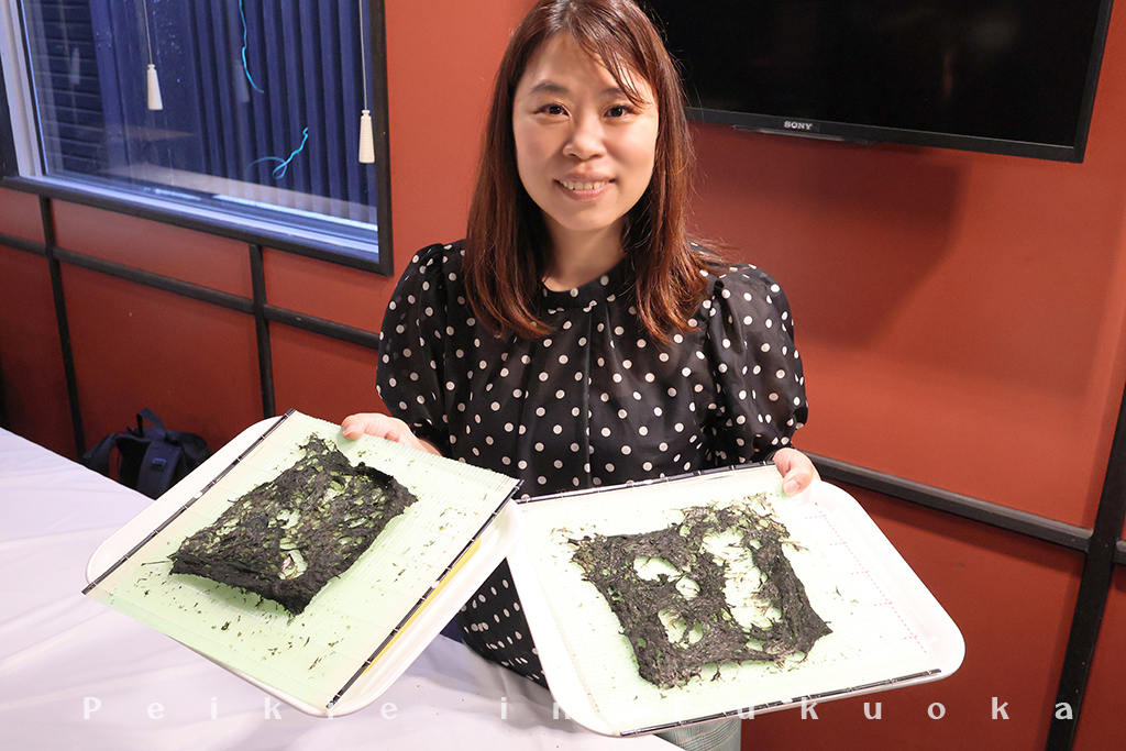 福岡柳川高橋商店海苔體驗