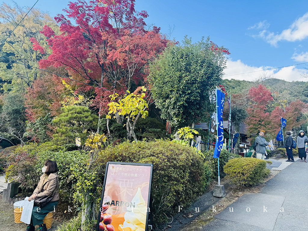 佐賀九年庵賞紅葉