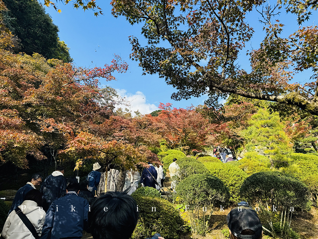 佐賀九年庵賞紅葉