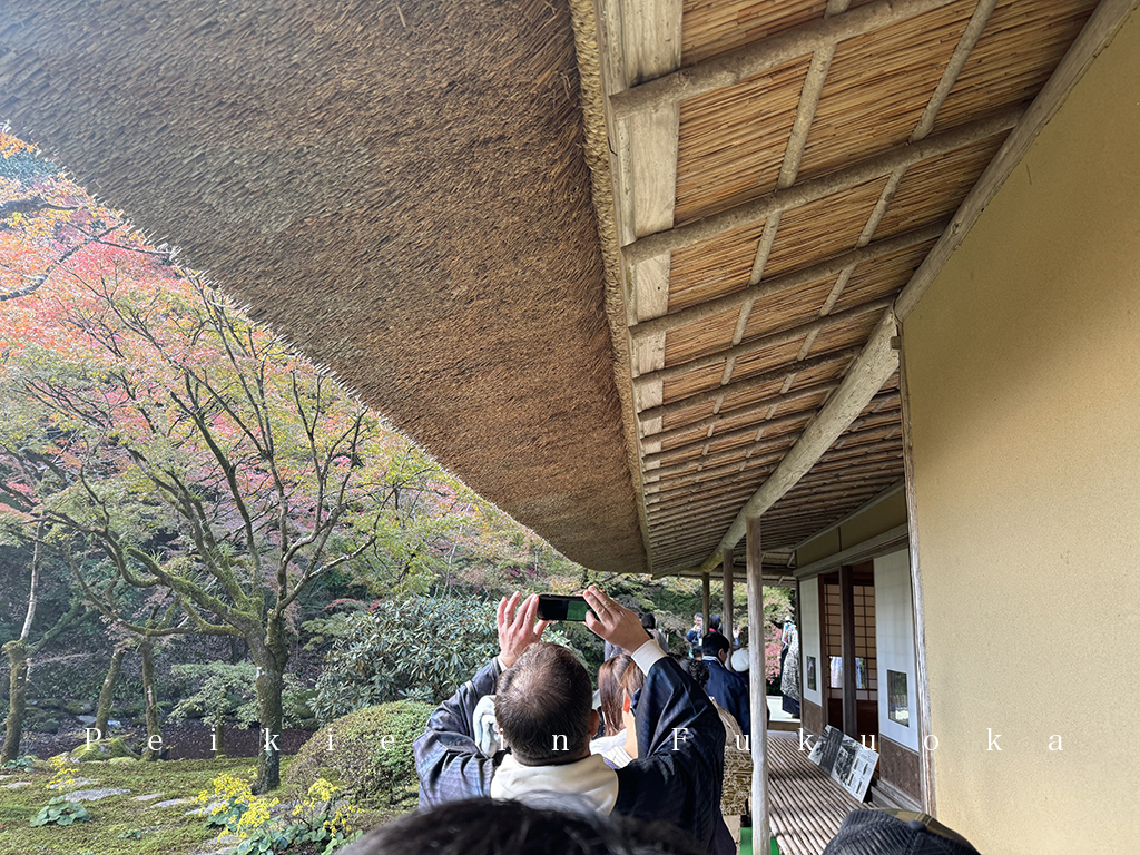 佐賀九年庵賞紅葉