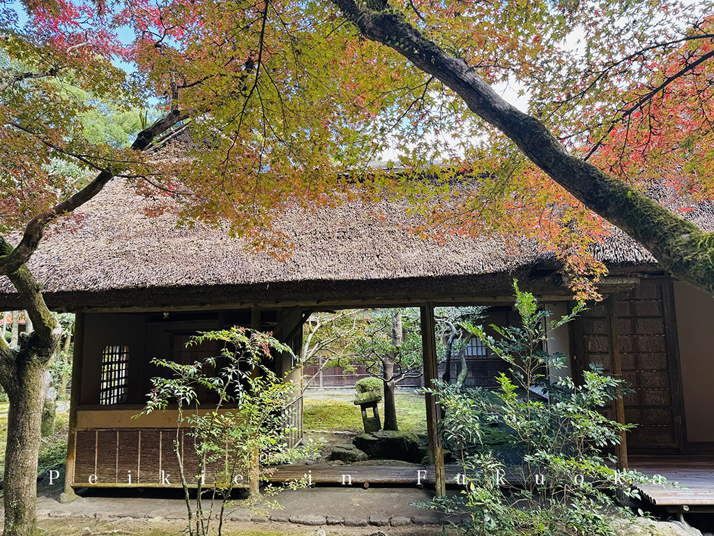 佐賀九年庵賞紅葉