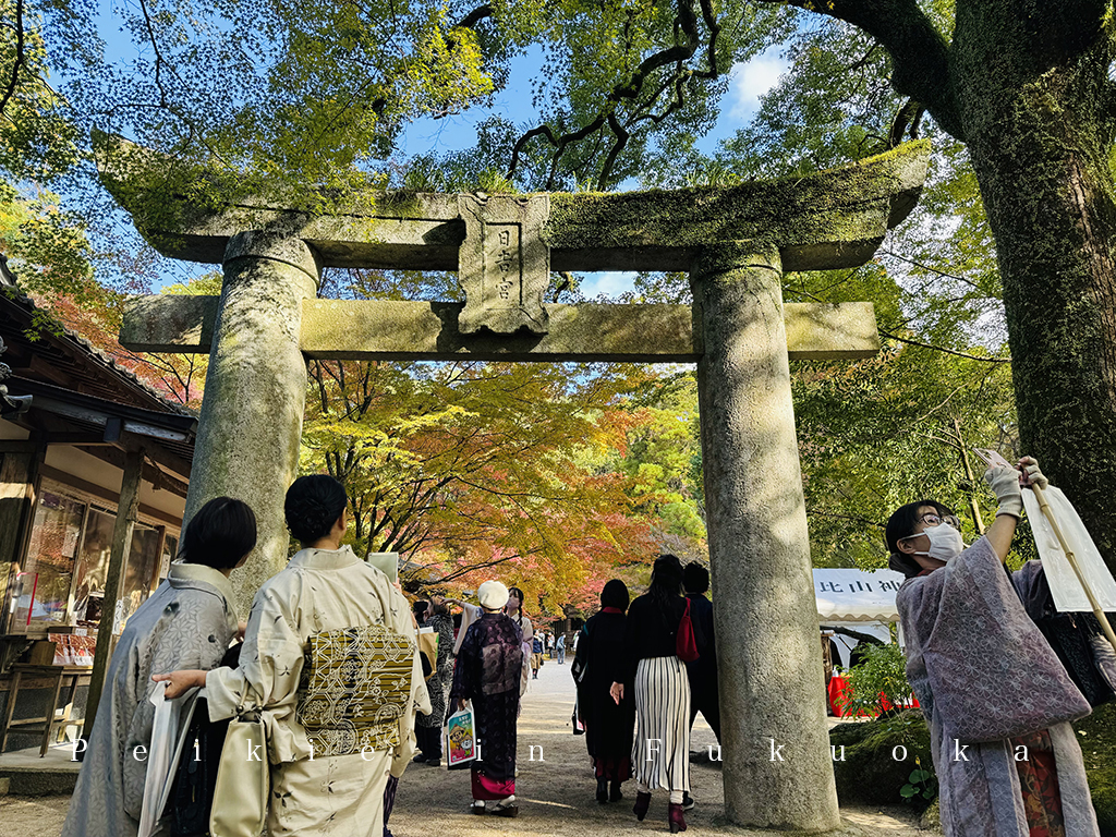 佐賀九年庵賞紅葉