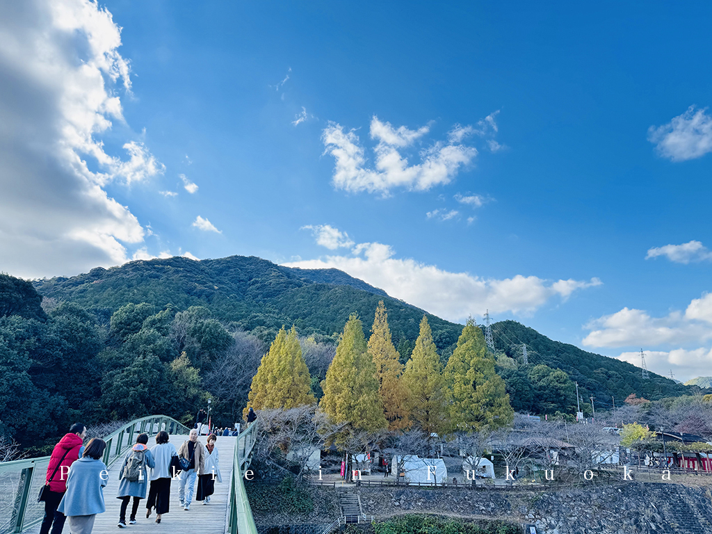 佐賀九年庵賞紅葉