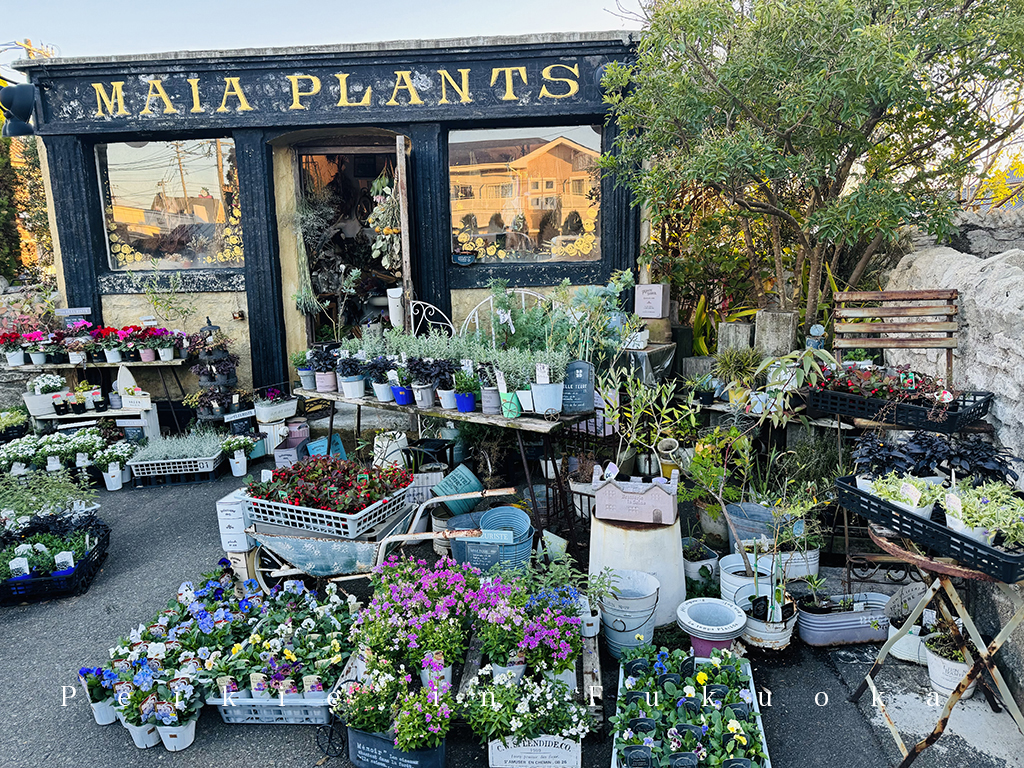 佐賀Angecoco甜點咖啡店