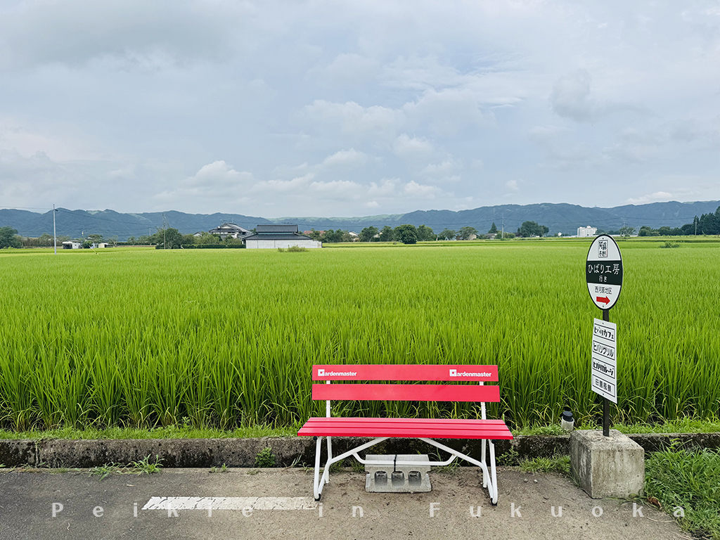 熊本ヒバリcafe 阿蘇(Hibari Cafe)雲雀咖啡
