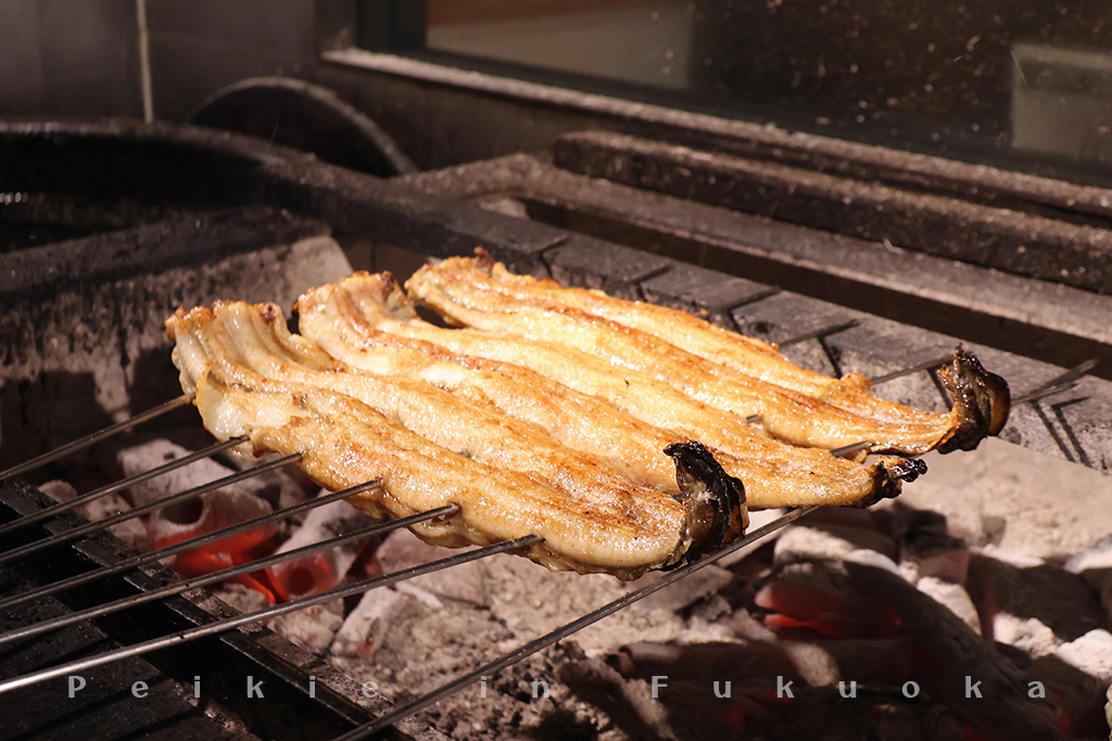 福岡鰻魚飯「鰻魚四代目菊川 中洲春吉店