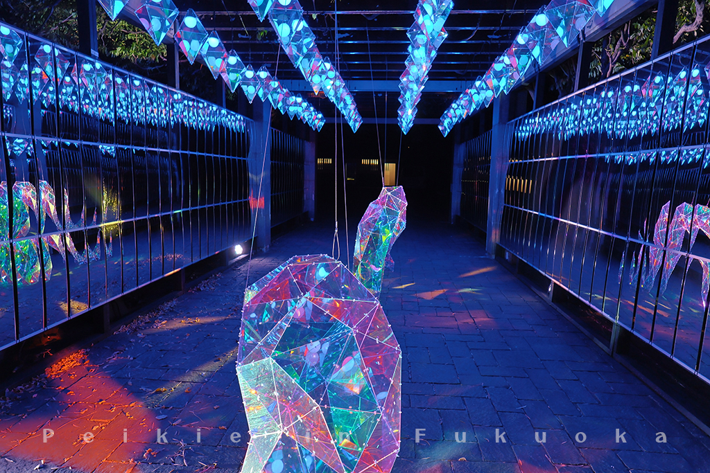 福岡城光之城郭祭典・福岡城光の城郭祭り