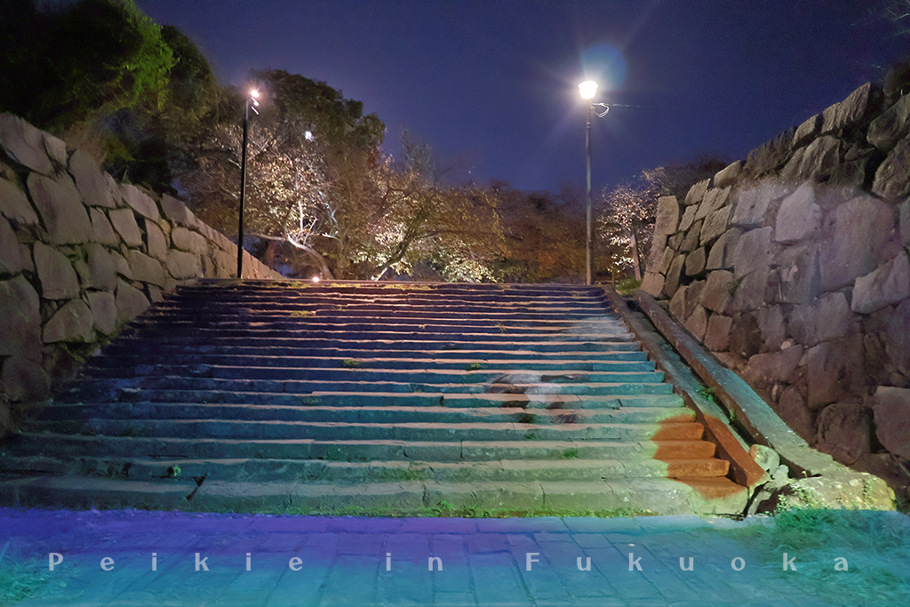 福岡城光之城郭祭典・福岡城光の城郭祭り