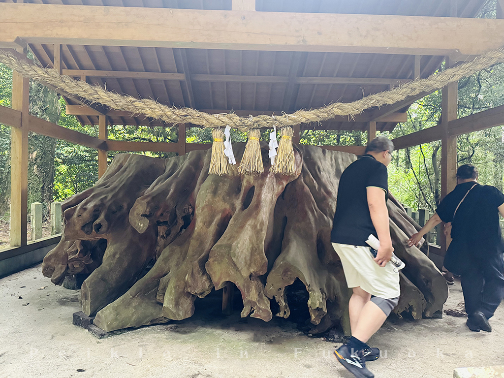 熊本阿蘇 國造神社