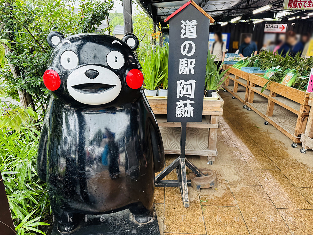 阿蘇道の駅