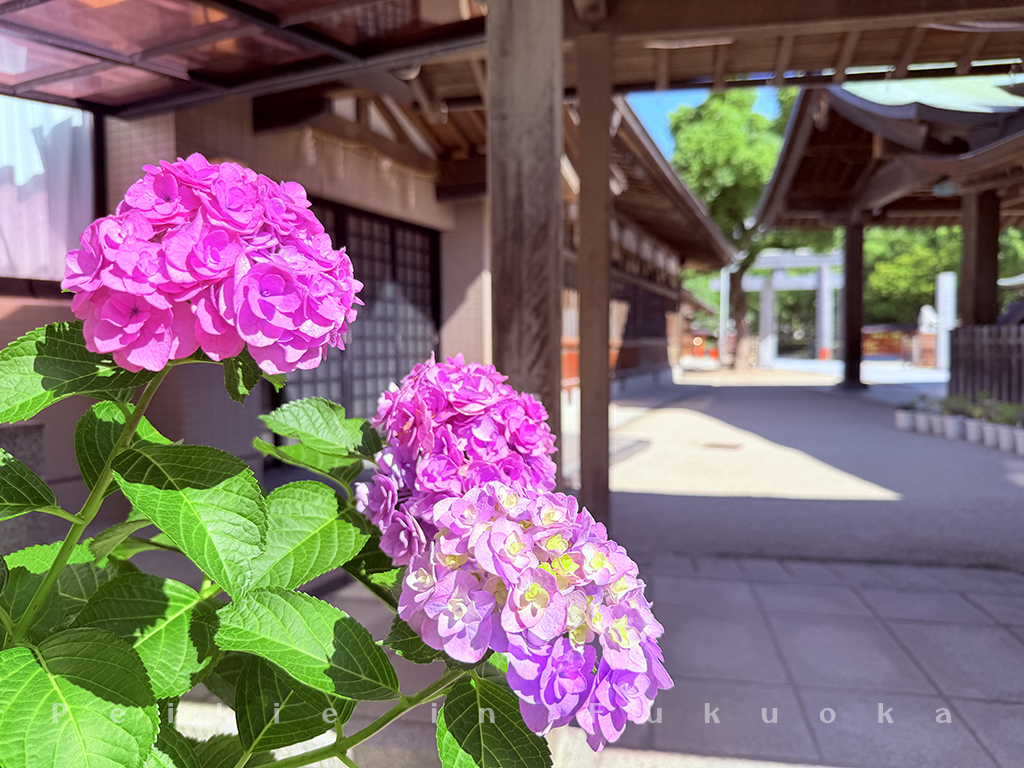 十日恵比須神社
