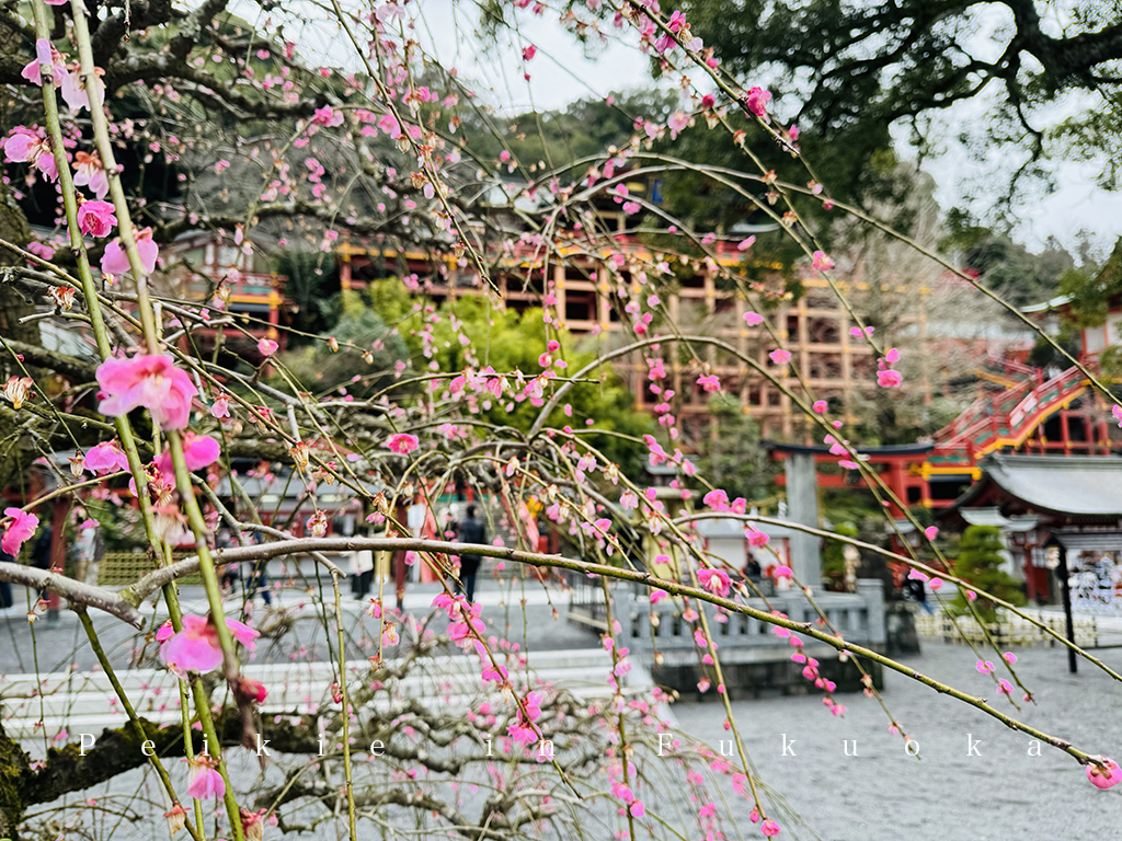 佐賀祐徳稲荷神社・佐賀祐德稻荷神社