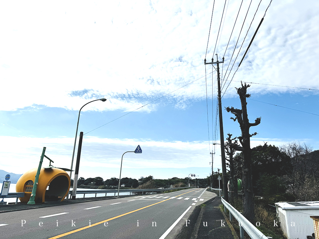 長崎県諫早市内国道207号往佐賀路上水果巴士站