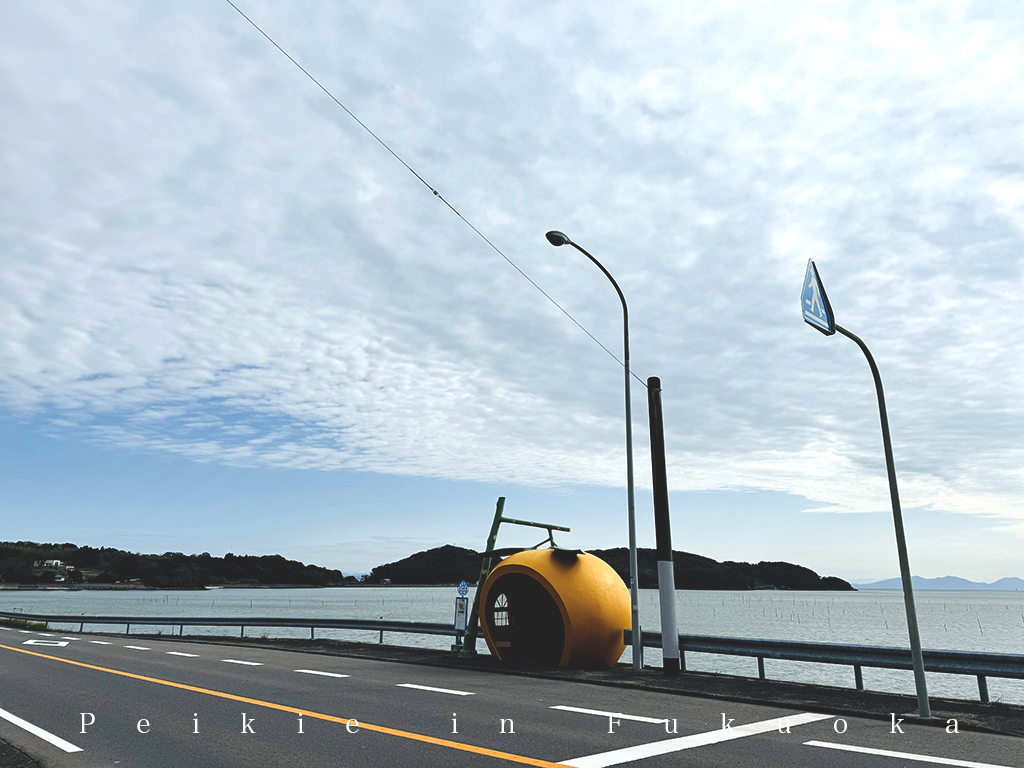 長崎県諫早市内国道207号往佐賀路上水果巴士站