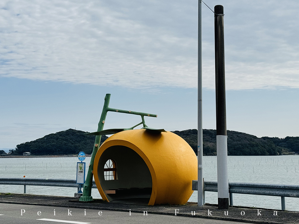 長崎県諫早市内国道207号往佐賀路上水果巴士站