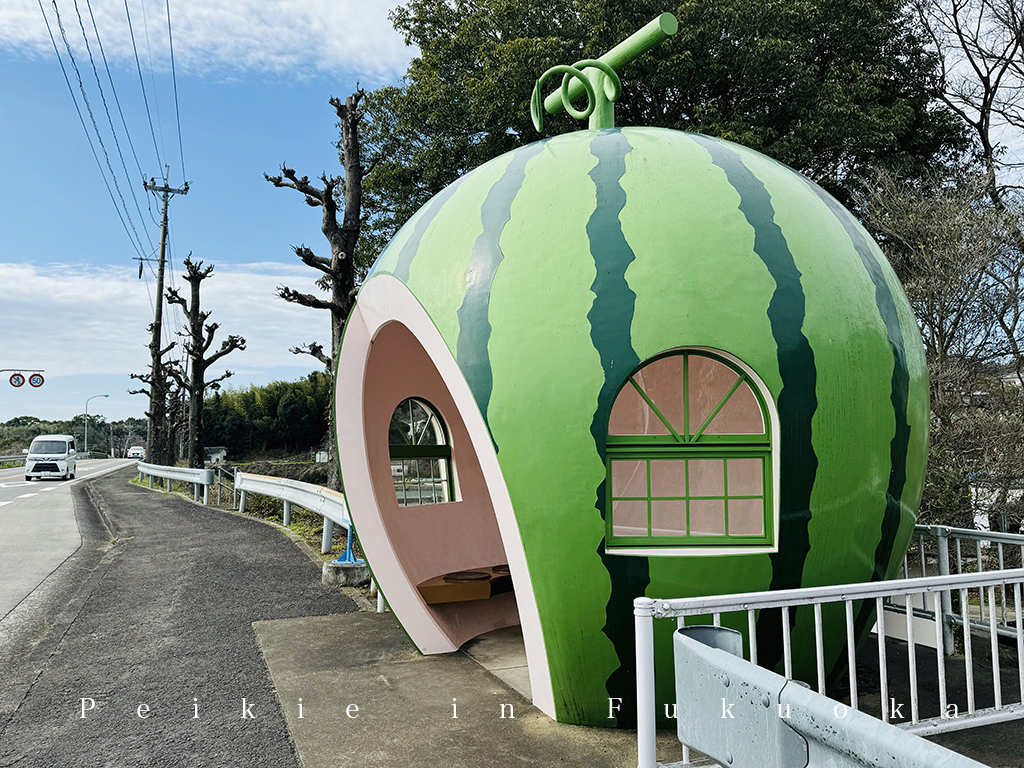 長崎県諫早市内国道207号往佐賀路上水果巴士站