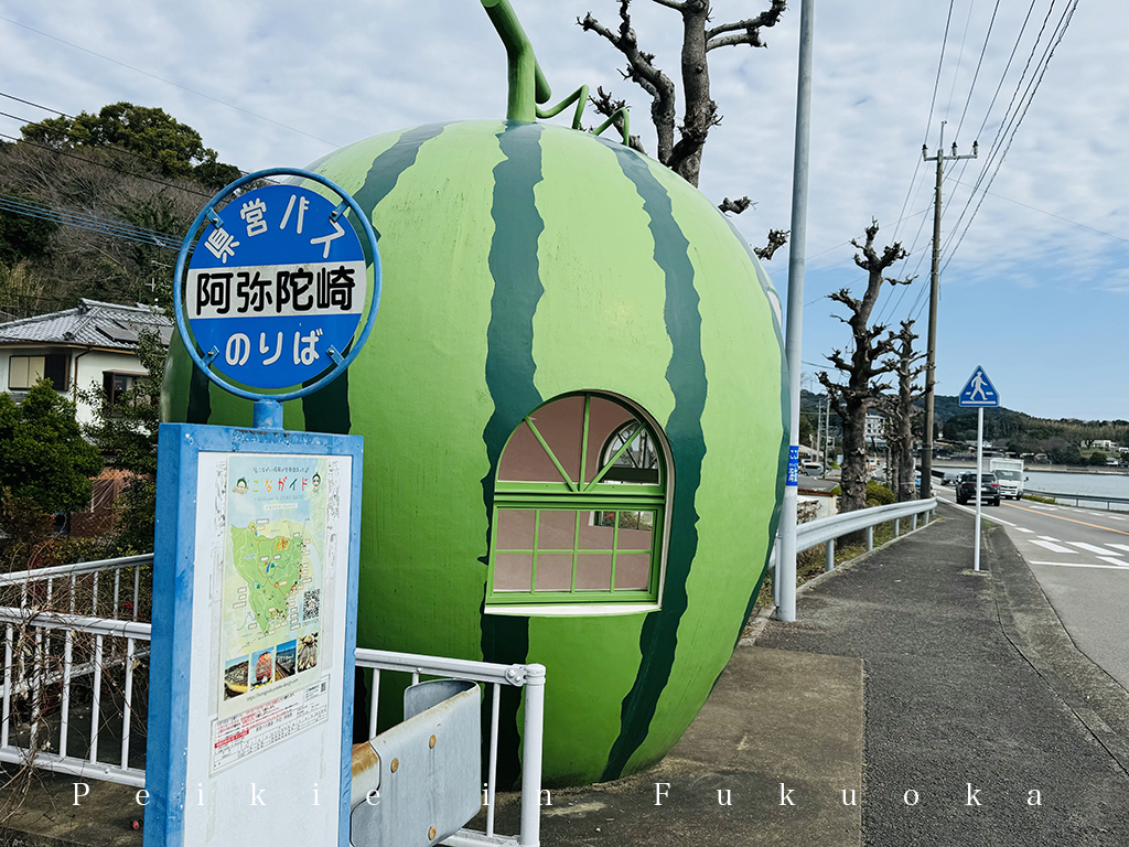 長崎県諫早市内国道207号往佐賀路上水果巴士站