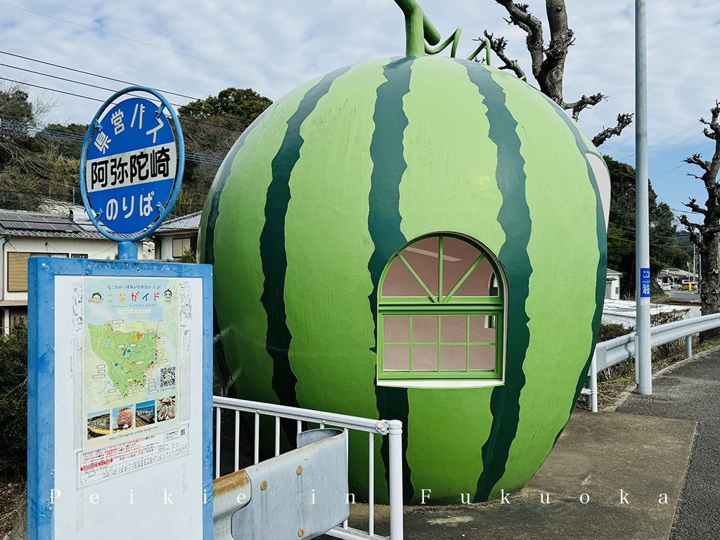 長崎県諫早市内国道207号往佐賀路上水果巴士站