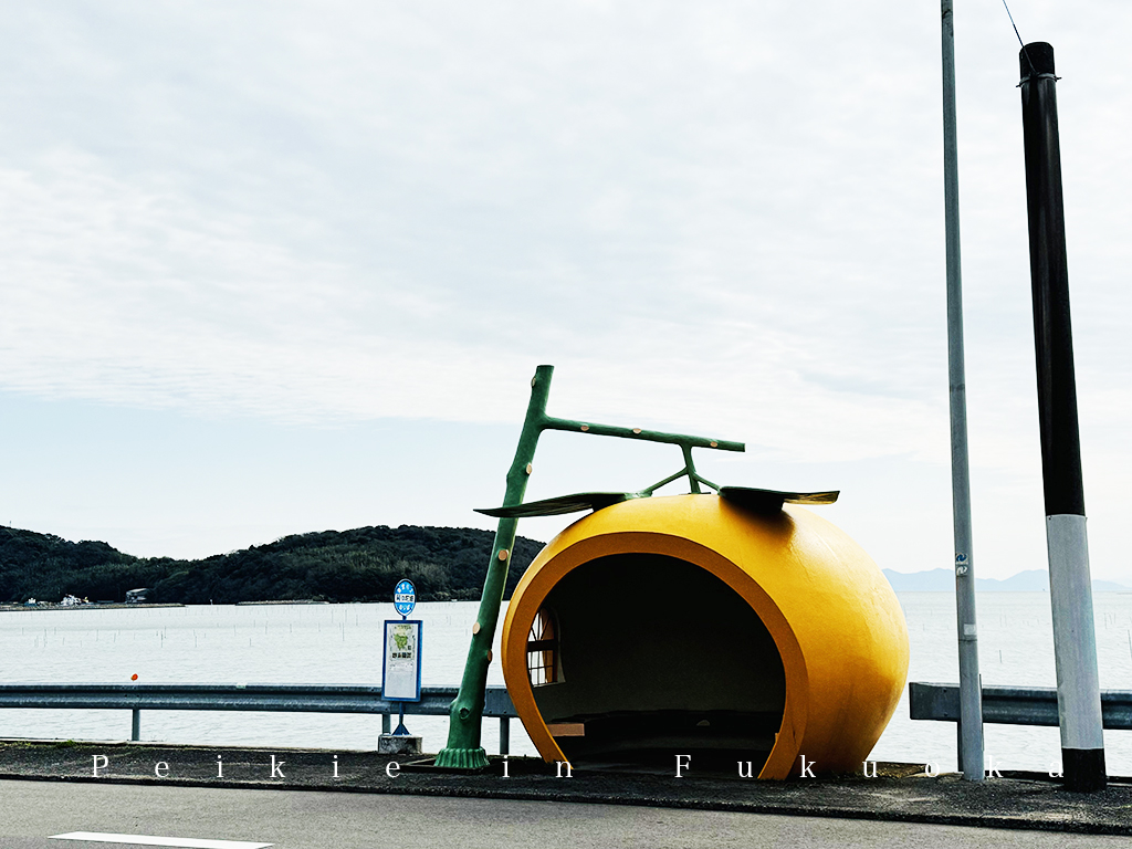 長崎県諫早市内国道207号往佐賀路上水果巴士站