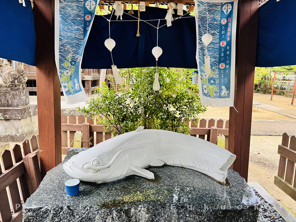 佐賀嬉野温泉白鯰魚 豐玉姫神社
