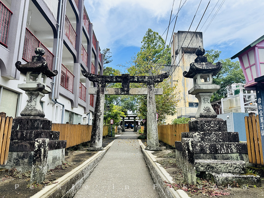 佐賀嬉野温泉白鯰魚 豐玉姫神社