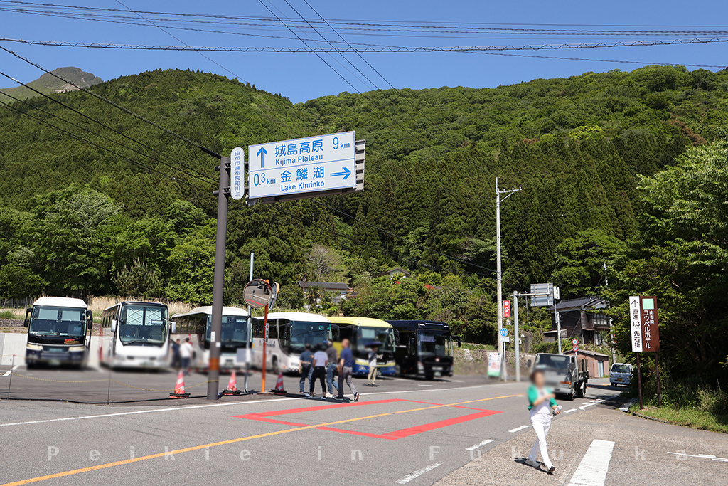 湯布院風之響豪華露營・風の響きグランピング・Glamping