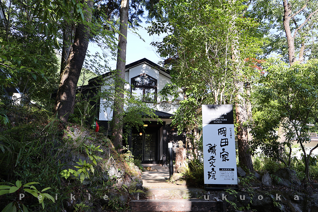 湯布院風之響豪華露營・風の響きグランピング・Glamping