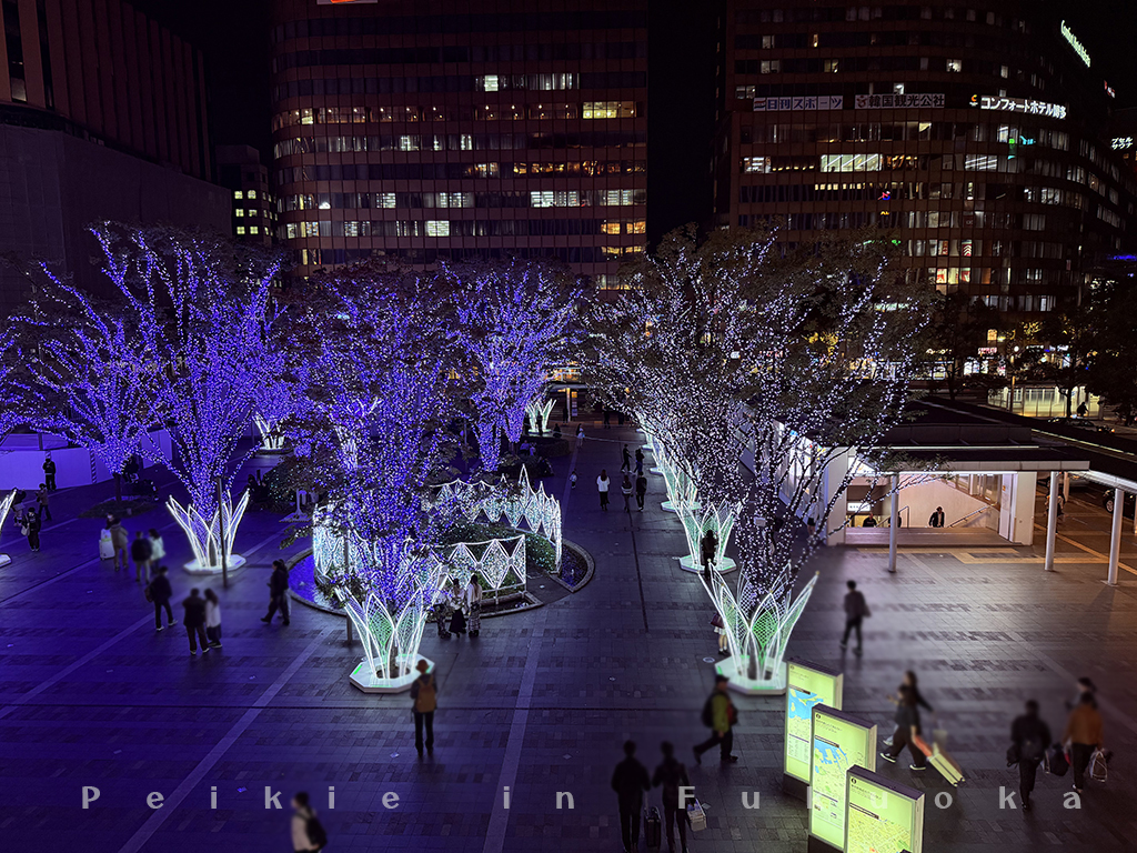 2025博多站耶誕・2025博多駅クリスマス