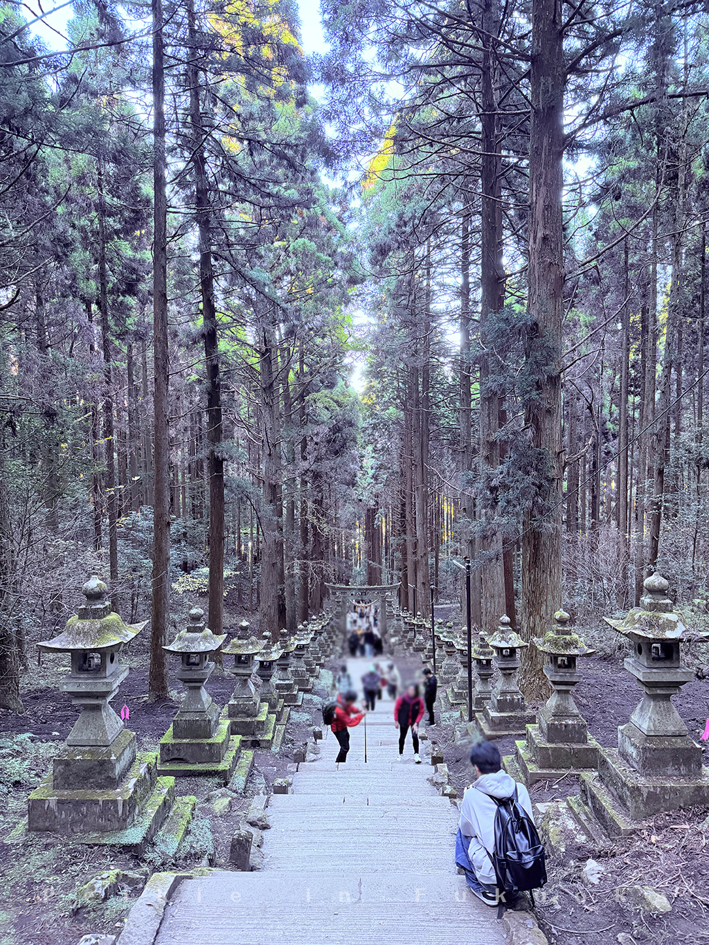 熊本 上色見熊野神社