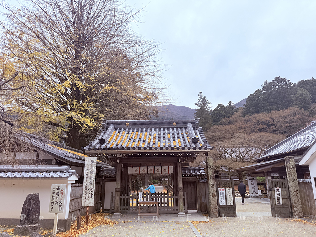 九州FunTour巴士一日遊 雷山千如寺