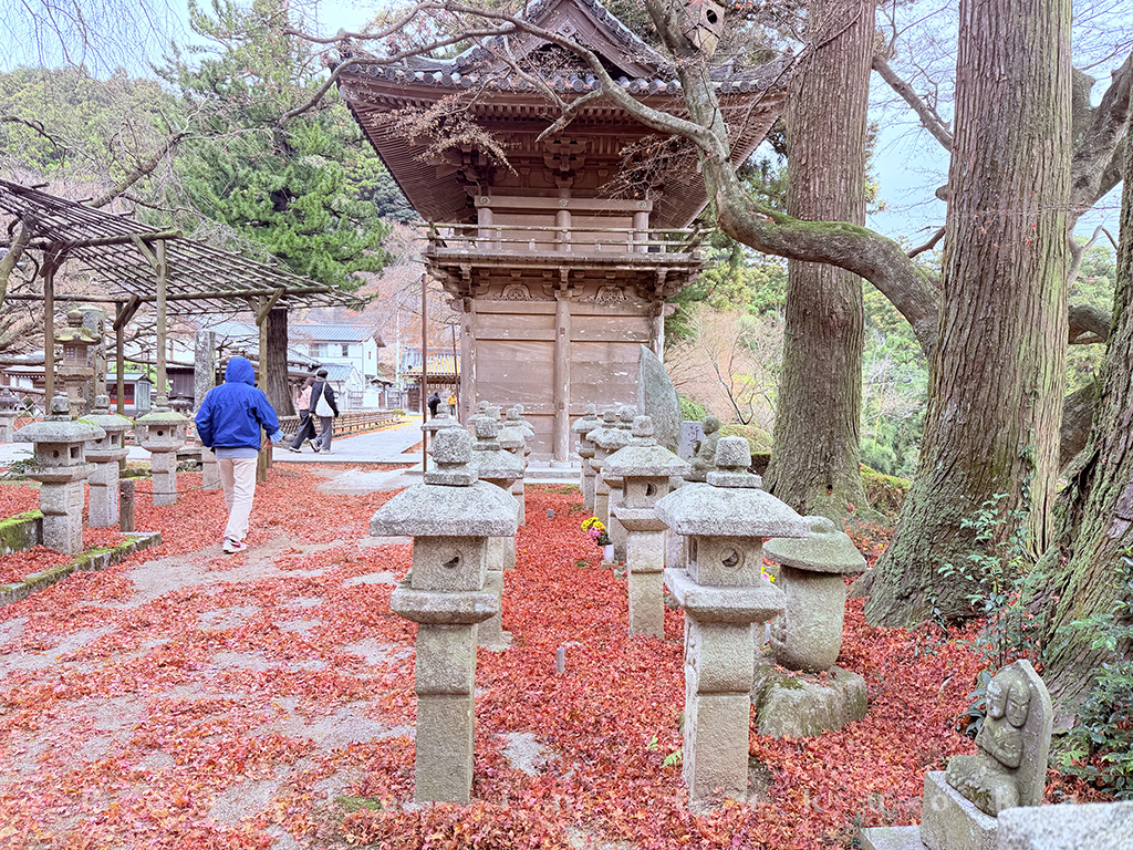 九州FunTour巴士一日遊 雷山千如寺