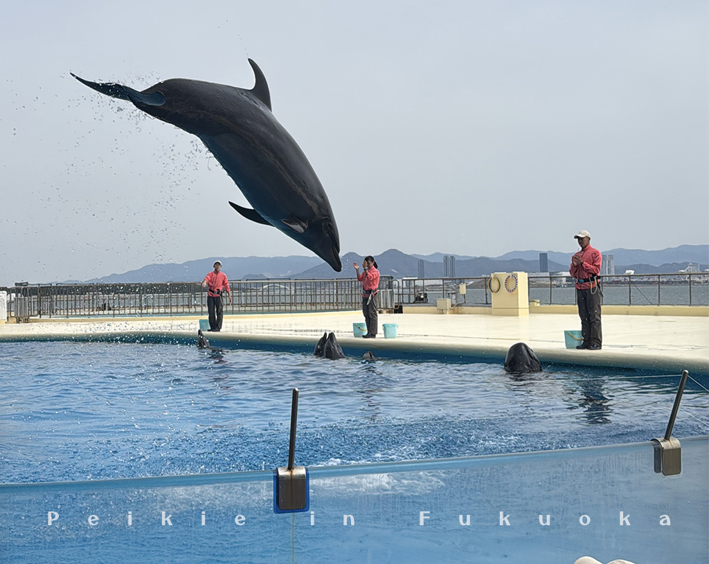 海の中道水族館・海之中道水族館