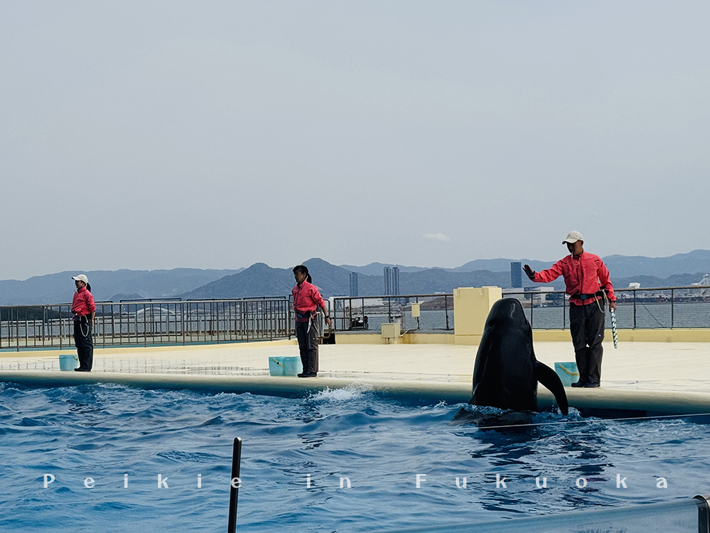 海の中道水族館・海之中道水族館