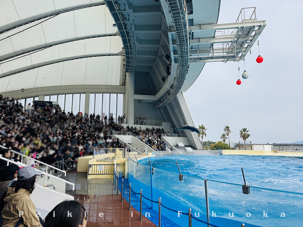 海の中道水族館・海之中道水族館