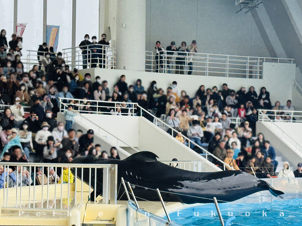 海の中道水族館・海之中道水族館