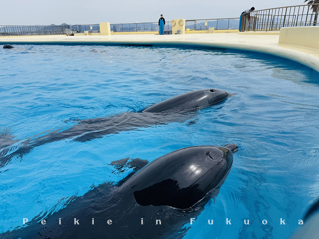 海の中道水族館・海之中道水族館