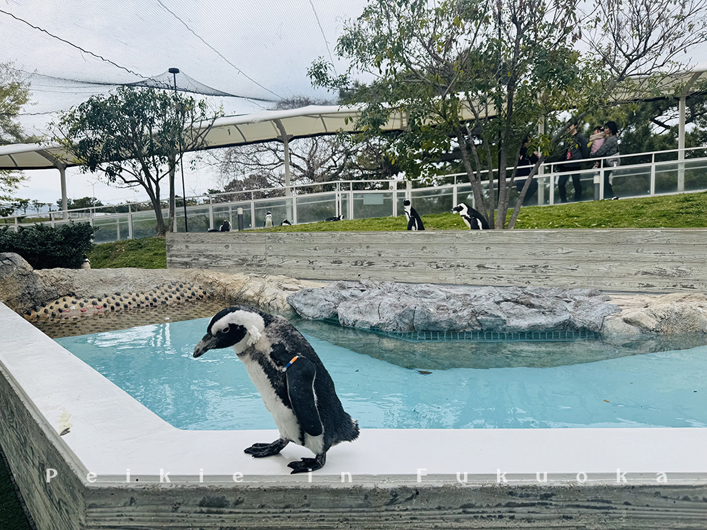 海の中道水族館・海之中道水族館