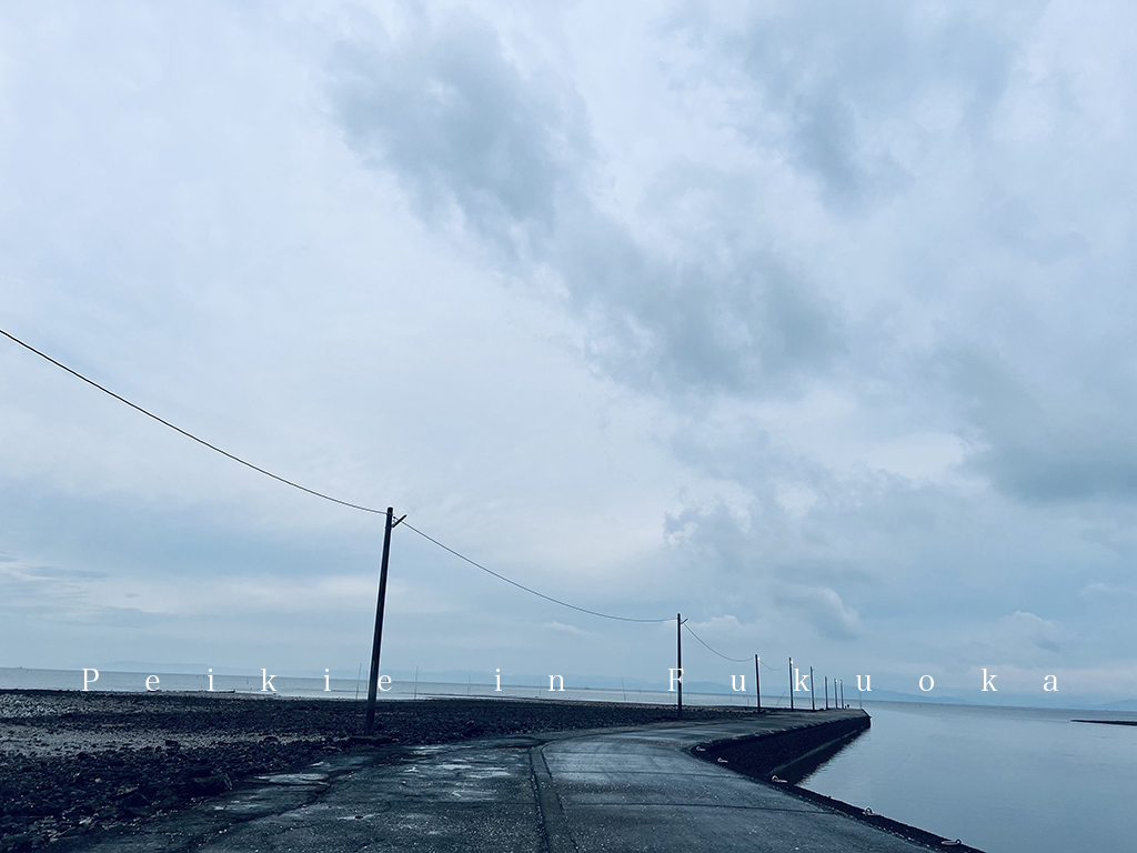佐賀大魚神社海中鳥居