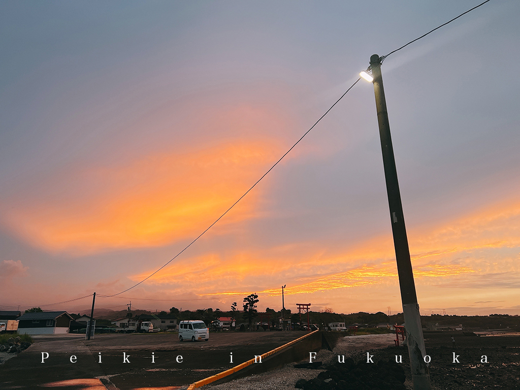 佐賀大魚神社海中鳥居