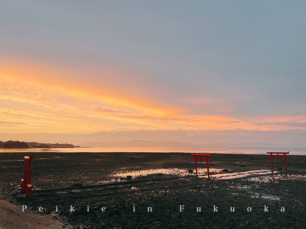 佐賀大魚神社海中鳥居