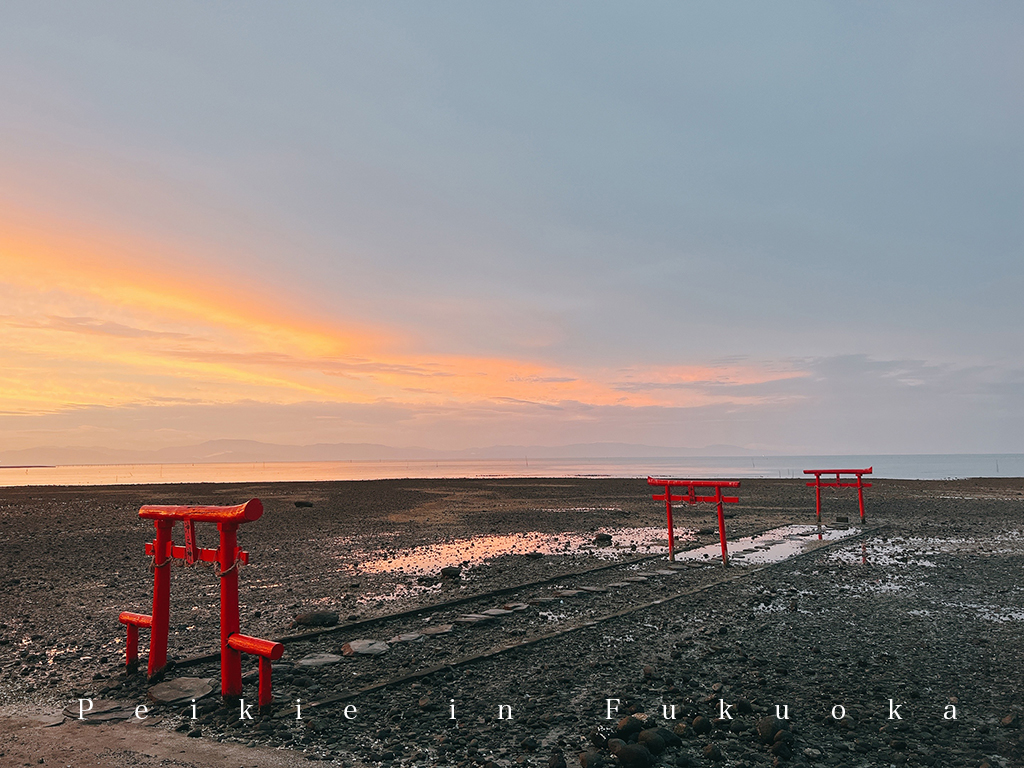 佐賀大魚神社海中鳥居
