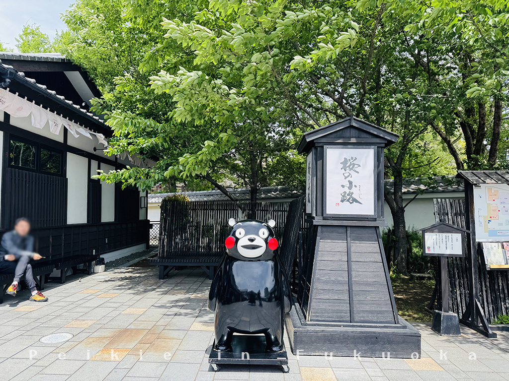 九州funpass 熊本2天1夜 熊本城櫻之小路